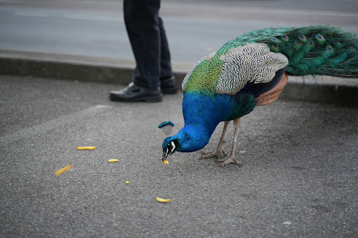 Newlands Road Car Park Gallery - United Kingdom