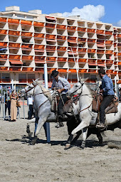 Photo n°22 de Agence immobilière Cap Sud Immobilier Villeneuve-Lès-Maguelone à Villeneuve-lès-Maguelone (Agent immobilier)