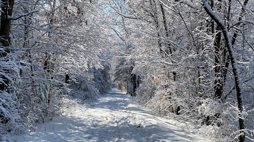 Farmington Valley Greenway Parking - Thumbnail