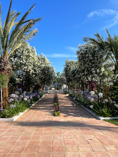 Espacio van Eijle - Visual