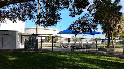 Photos of Tropicana Field