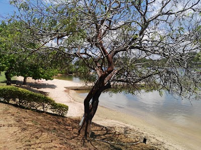 Photos of Eagles' Bayview