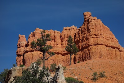 Photos of Ornella Travel sa