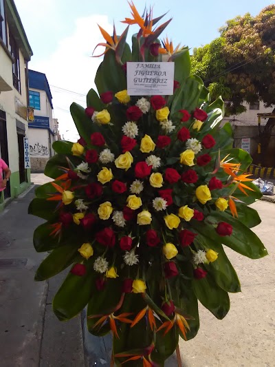 Photos of Floristeria Dulce Amor