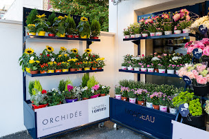 Photo n°28 de Monceau Fleurs à Saint-Thibault-des-Vignes (Fleuriste)