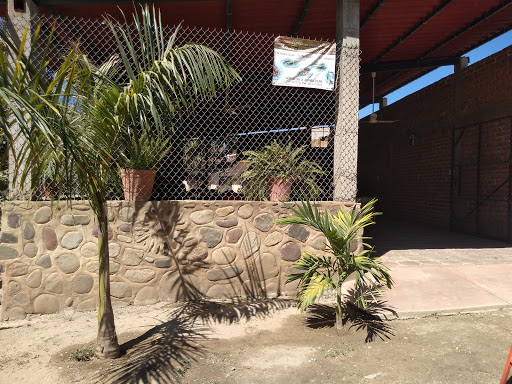 La Finca De Piedra - Thumbnail