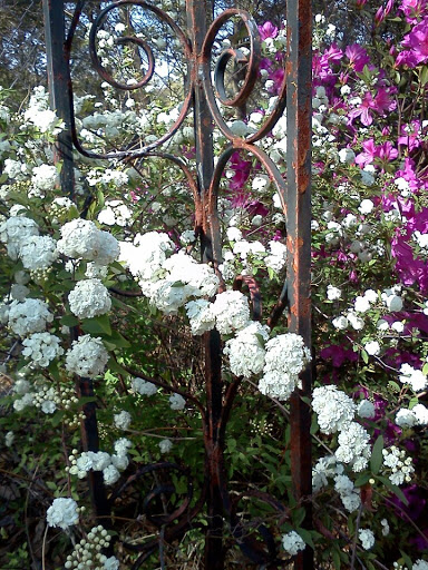 Carolina Bike And Beach Gallery - United States