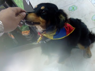 Photos of TeusaVet Veterinary Medical Center