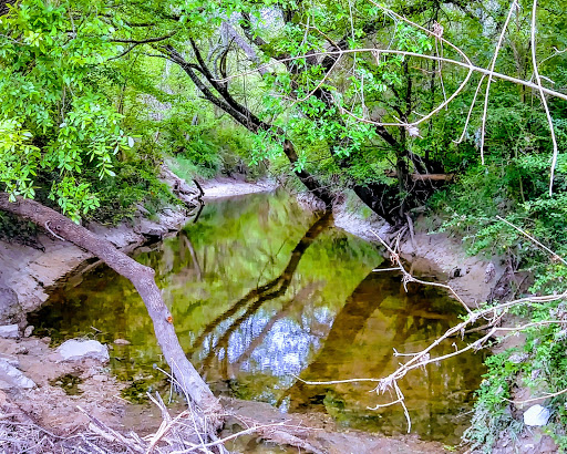 Cottonwood Creek - Dallas County Nature Preserve - Thumbnail