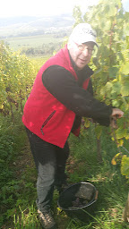 Photo n°8 de Domaine Yves Amberg - Viticulteur biologique à Epfig (Attraction touristique)