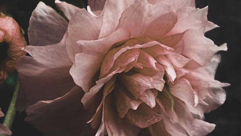 Redner Werkstatt | Trauerredner NRW