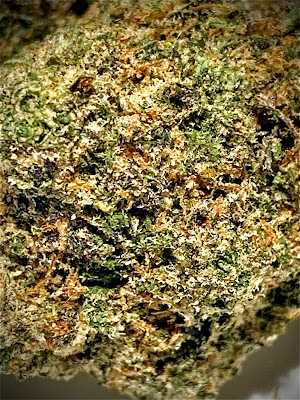 Photo of Native Medicine Dispensary