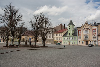 Photos of Hotel Zlat&aacute; Labuť
