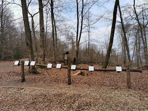Wanderparkplatz Tiergarten - Thumbnail