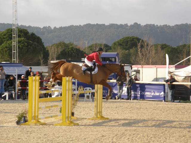 DOMAINE EQUESTRE DES GDS PINS