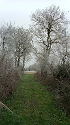 Photo n°20 de La cabane à Montipouret (Chambre d'hôtes)