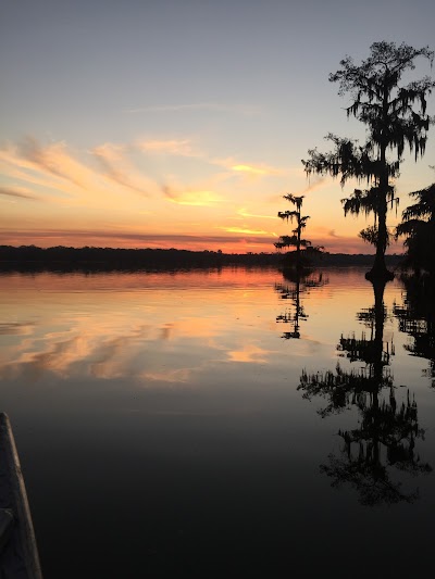 Louisiana Swamp Tours