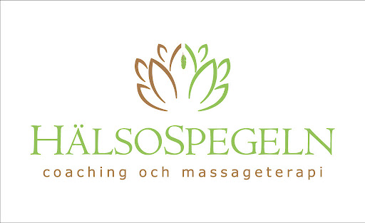 Hälsospegeln - Visual
