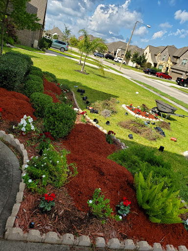 Chan tree services - Visual