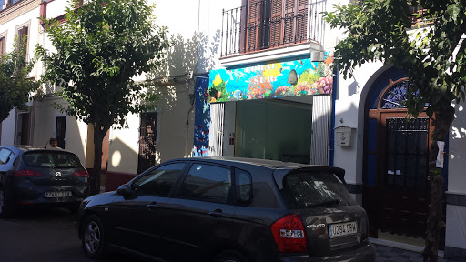 Coral Sur