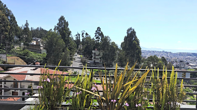 Opiniones de AMAHRU en Quito - Agencia inmobiliaria