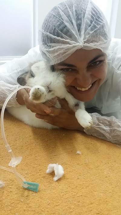 Photos of Clinica veterin&aacute;ria Taubat&eacute; Domiciliar -Sa&uacute;de Animal - Dra Lara reis