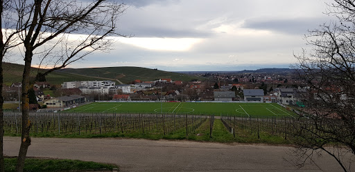 Sportplatz Ebringen