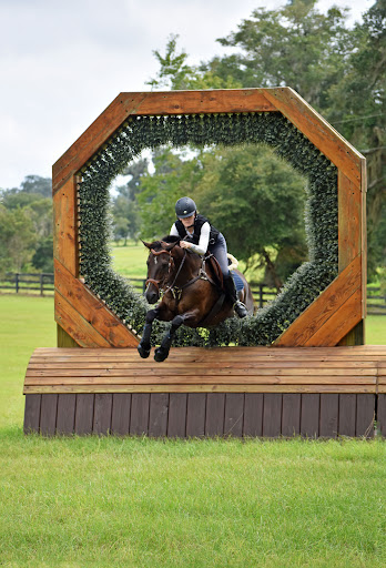 Y Knot Equestrian - Thumbnail