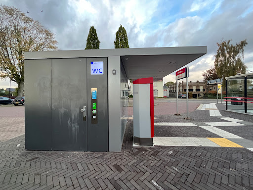 Wehl - Visual