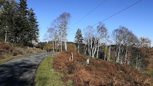 Photo n°63 de Ariane ROFFET à Clermont-Ferrand (Consultant immobilier)