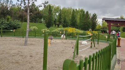 Photos of Eskişehir Metropolitan Municipality Sazova Zoo
