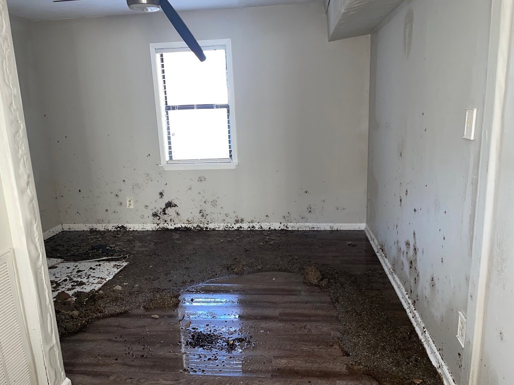 1-800 Water Damage of NE TX & NW LA photo
