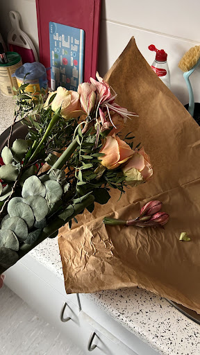 Bloomy Days - Visual