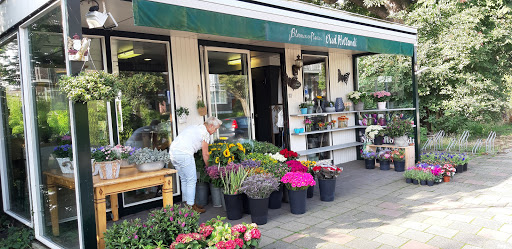 Bloemen En Planten Oud Hollandt - Thumbnail