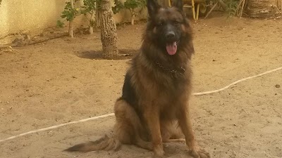 Photos of Animalia Vet Center