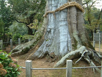 昭和造園土木㈱