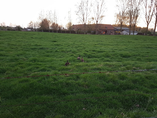 Dekra France Wambrechies - Thumbnail