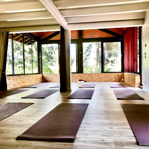 Photo de ​Le Petit Studio de Yoga