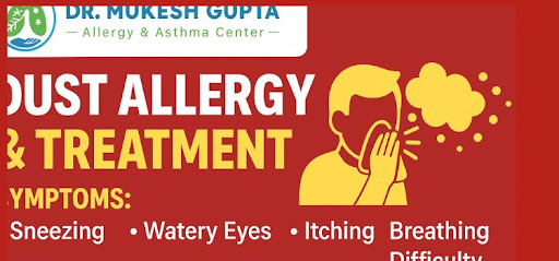 Dust Allergy Symptoms & Treatment in Jaipur