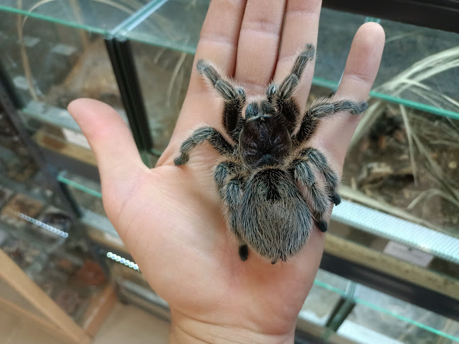 Miła 9, 20-104 Lublin