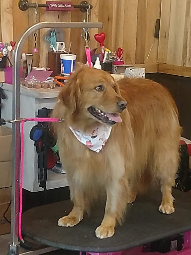 Happy Pawz Animal Boarding & Grooming - Thumbnail