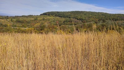 Smithsonian Conservation Biology Institute