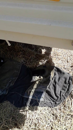 Comentarii opinii despre Mercado Central de Camaná