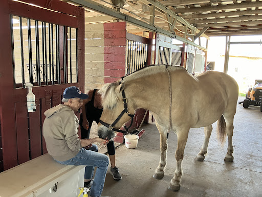 Saddlewood Horse Club - Thumbnail