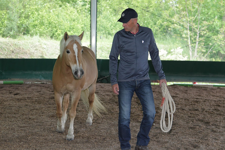 equi-com® - Führungskräftetrainings mit Pferden