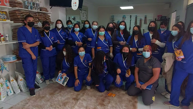 Opiniones de Patitas Veterinaria & Peluquería Canina y Felina , Academia Peluquería Canina en Los Andes - Veterinario