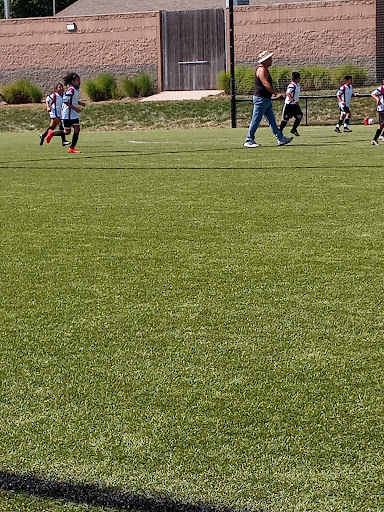 Field 7 - Visual