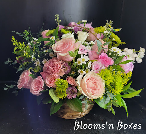 Blooms'n Boxes - Visual