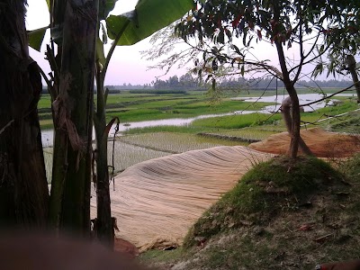 Photos of Valurpara Bazar