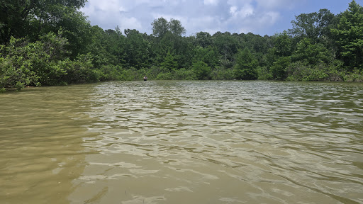 Lake Greeson, Daisy State Park Gallery - United States